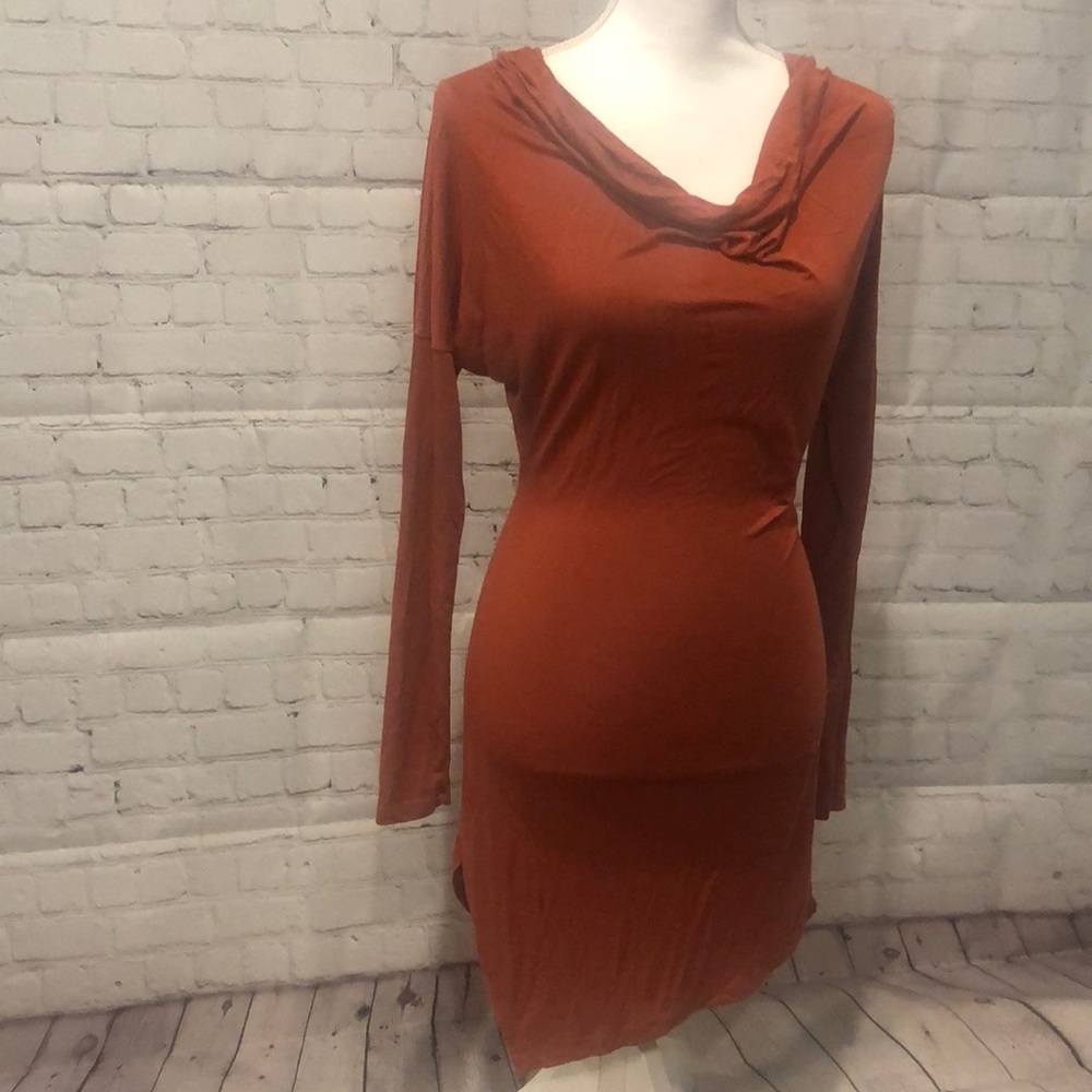 Rustic Fall Orange Long sleeve dress | Sz Med